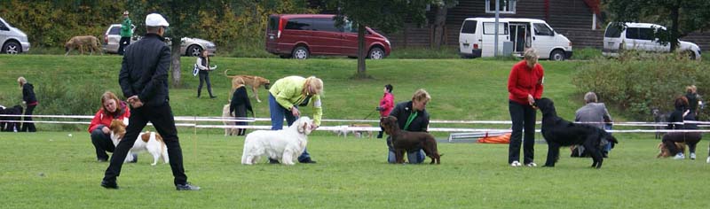 Nexus_SpiceTwice_Vanguard_p