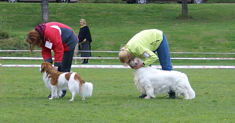 Nexus_SpiceTwice_Vanguard_q