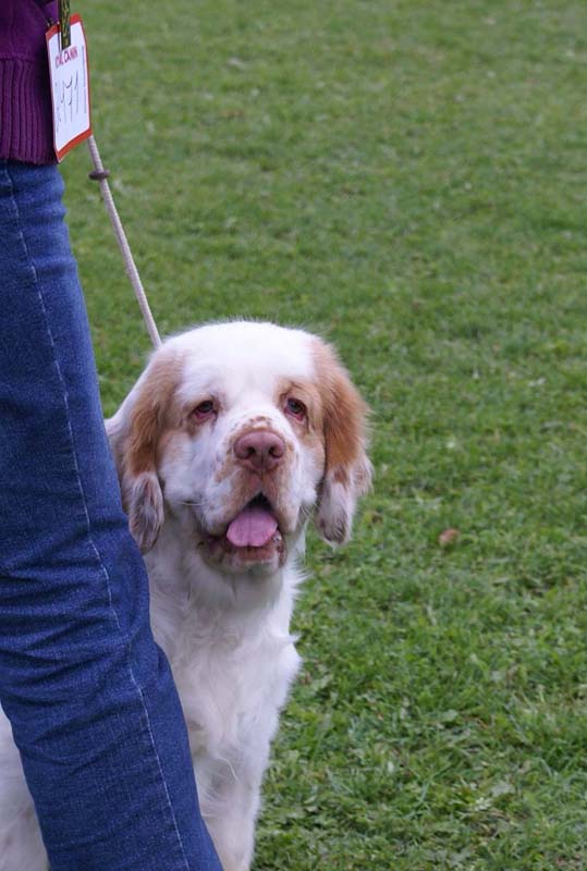 ST_TagHeuer_10months