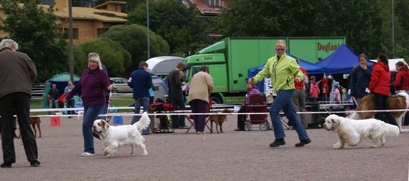 ST_TagHeuer_NexusSpiceTwiceVanguard