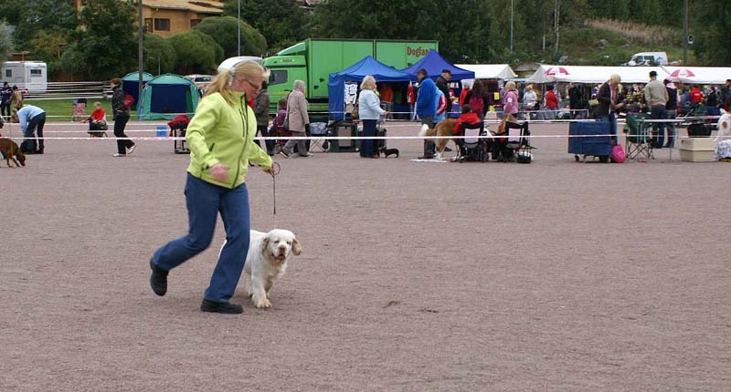 ST_Yes_or_Snow_7months