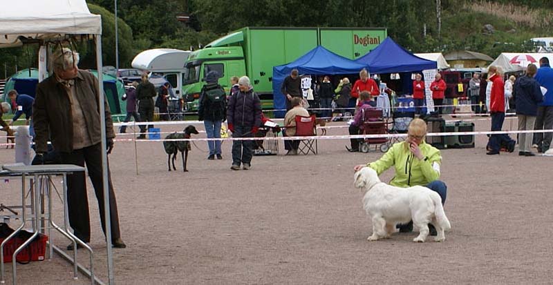 ST_Yes_or_Snow_7months_b