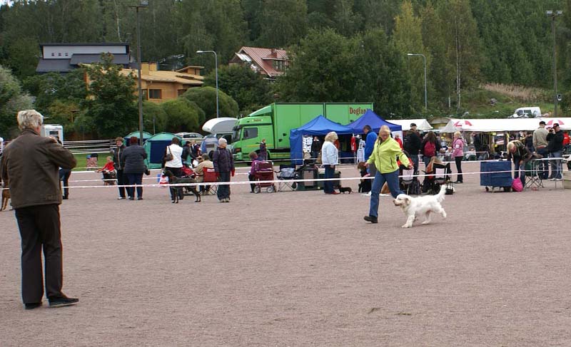 ST_Yes_or_Snow_7months_c