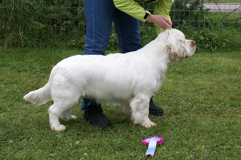 ST_Yes_or_Snow_7months_n