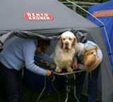 Nexus_SpiceTwice_Vanguard