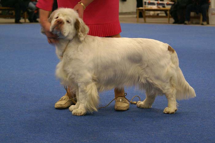 Bumbaa_Medvedi_Smecka