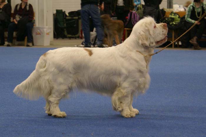 Bumbaa_Medvedi_Smecka_b