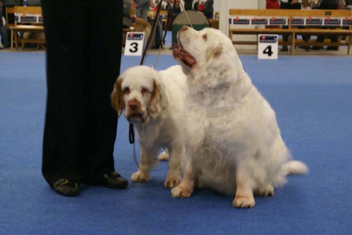 Minas_White_Chelsea_ST_Snow_Mercy