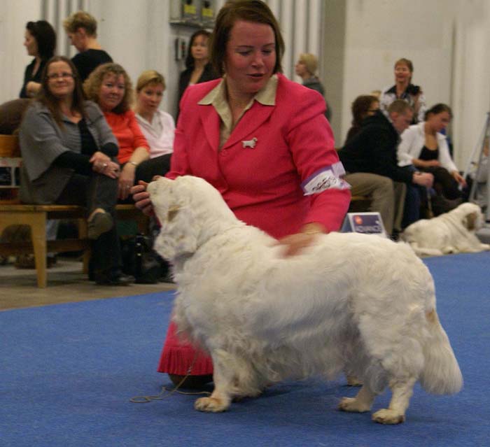 Minas_White_Chelsea_b