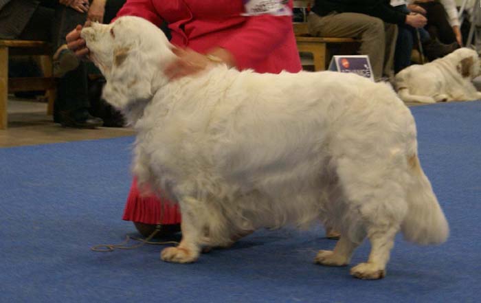 Minas_White_Chelsea_c