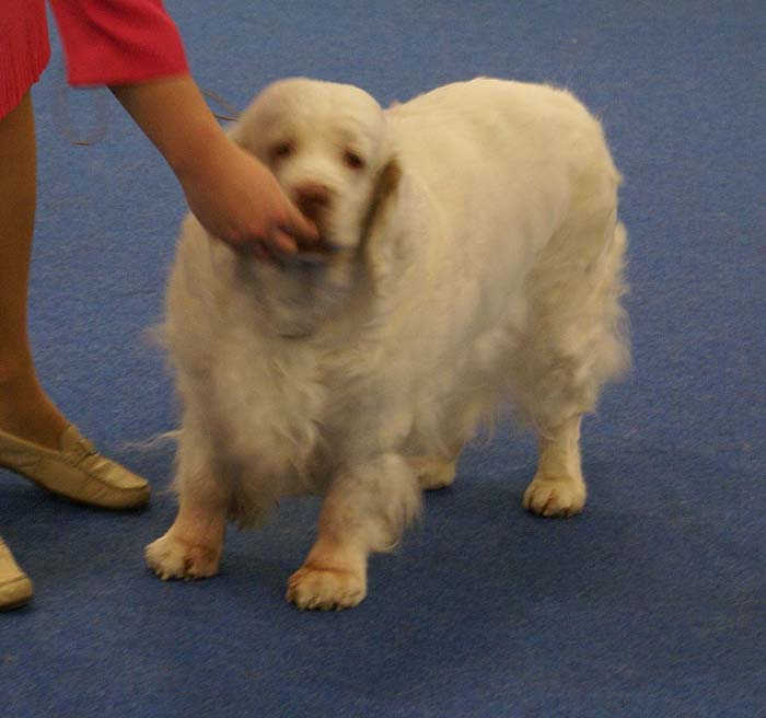 Minas_White_Chelsea_f