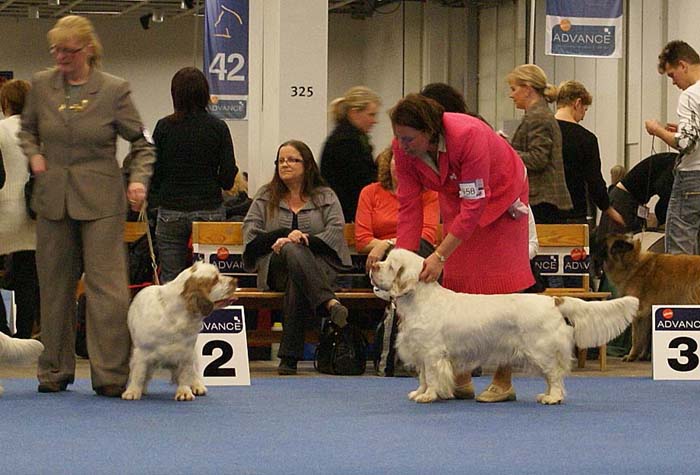 Minas_White_Chelsea_g