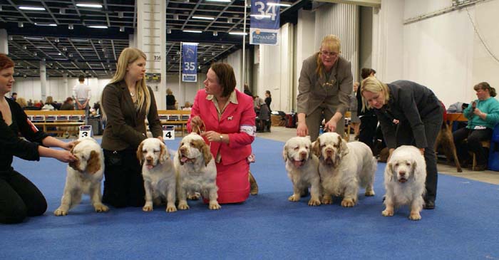 Minas_White_Chelsea_offspring_f