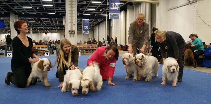 Minas_White_Chelsea_offspring_j