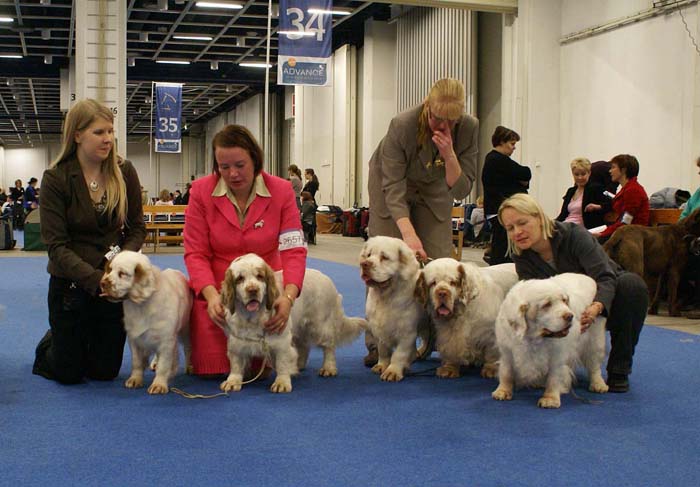 Minas_White_Chelsea_offspring_n