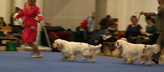 NexusSpiceTwiceVanguard_STAthos