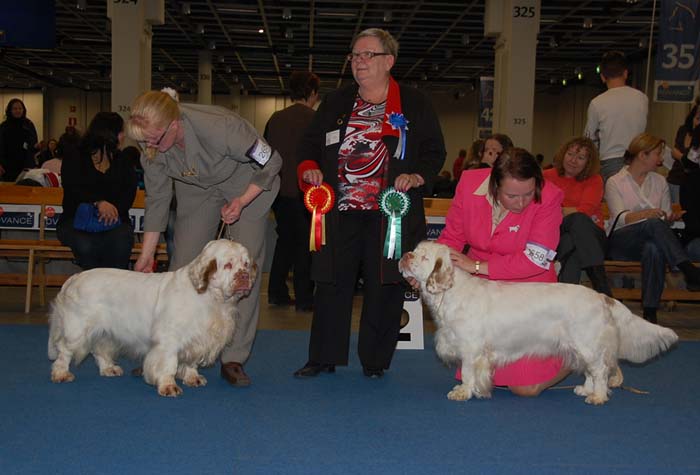 aa_BOB_NexusSpiceTwiceVanguard_BOS_BumbaaMedvediSmecka_