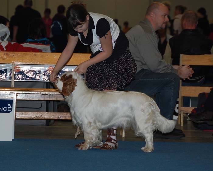 aa_Millijors_Cheddar