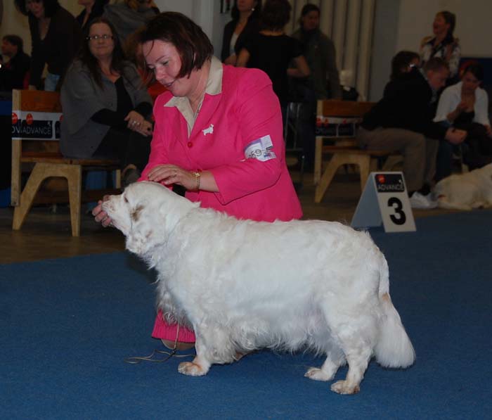 aa_Minas_White_Chelsea_b