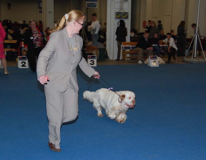 aa_Nexus_Spice_Twice_Vanguard