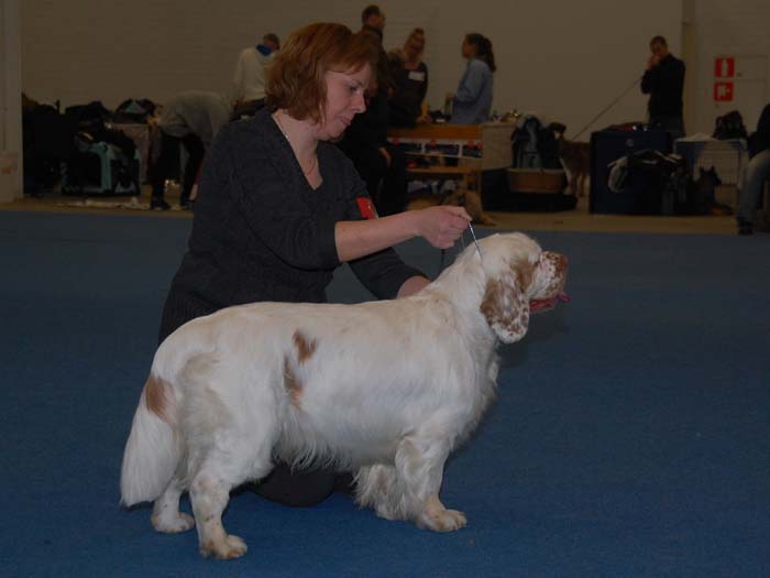 aa_ST_Raymond_Weil_c