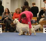 Bumbaa_Medvedi_Smecka_d