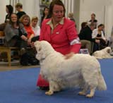 Minas_White_Chelsea_b