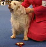 Minas_White_Chelsea_i