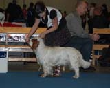 aa_Millijors_Cheddar