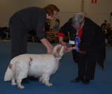 aa_ST_Raymond_Weil_b