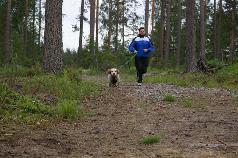 SpiceTwice_hunting_training_june2009_Molly_Marjo