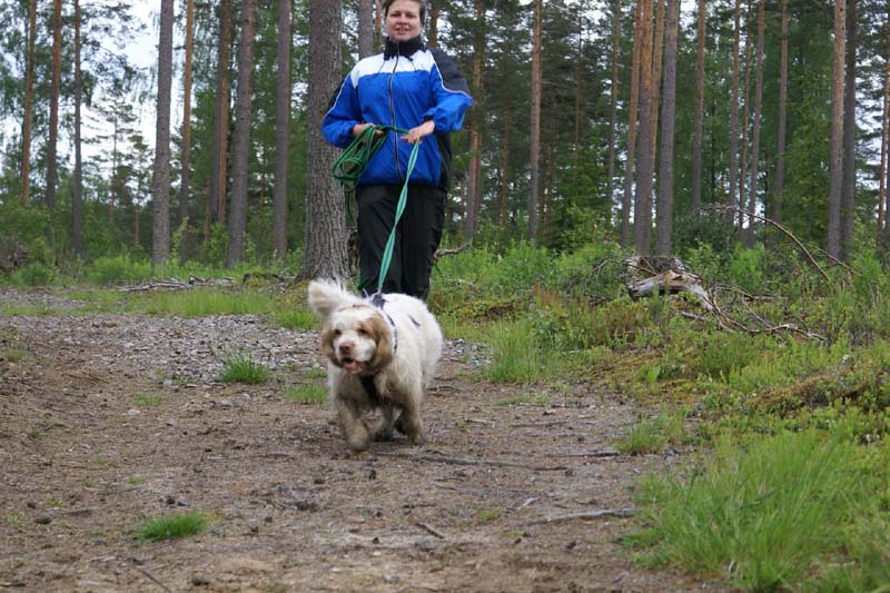 SpiceTwice_hunting_training_june2009_Molly_Marjo_b