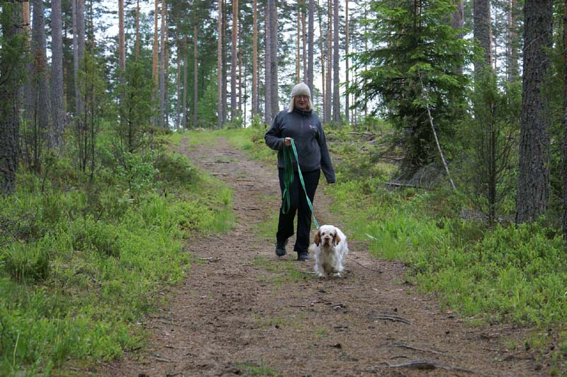 SpiceTwice_hunting_training_june2009_Onni_Eeva