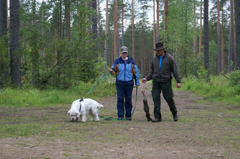 SpiceTwice_hunting_training_june2009_Reno_Mari_Jukka