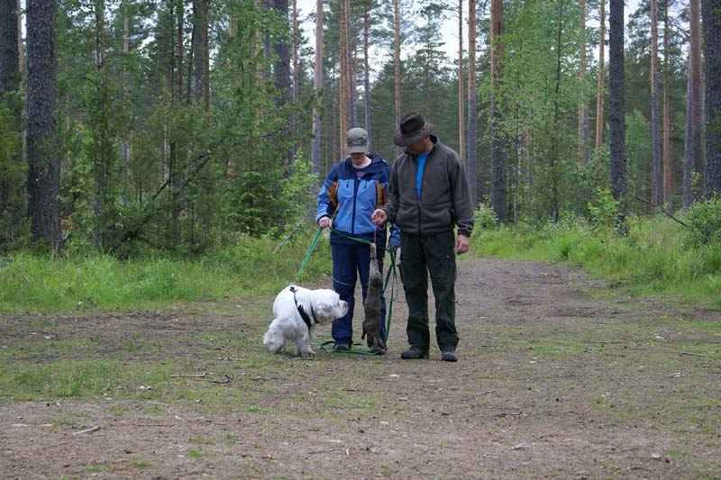 SpiceTwice_hunting_training_june2009_Reno_Mari_Jukka_b