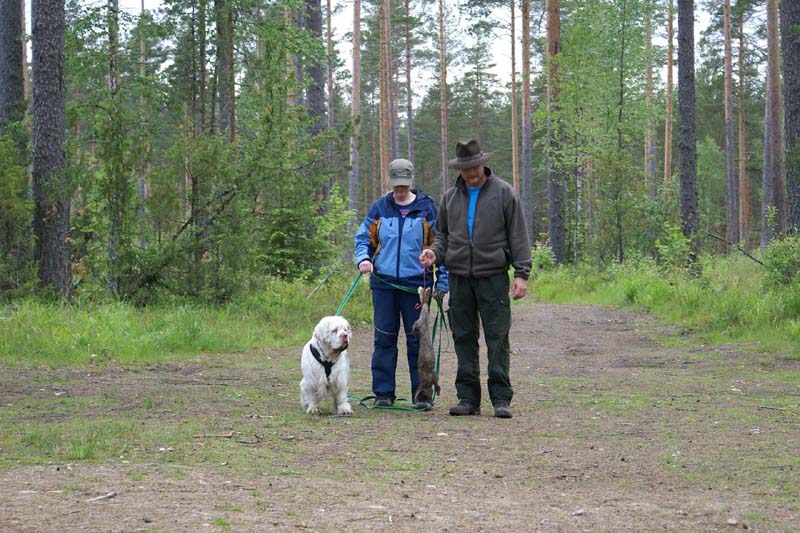 SpiceTwice_hunting_training_june2009_Reno_Mari_Jukka_c