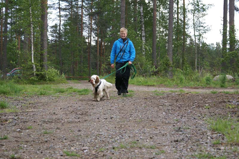 SpiceTwice_hunting_training_june2009_Sisu_Amma