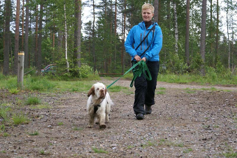 SpiceTwice_hunting_training_june2009_Sisu_Amma_b