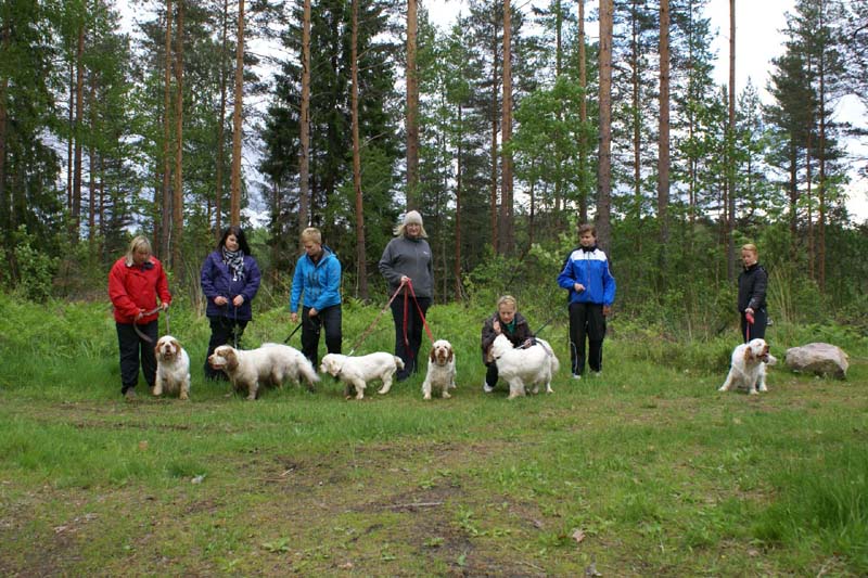 SpiceTwice_hunting_training_june2009_a