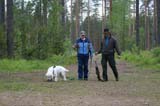 SpiceTwice_hunting_training_june2009_Reno_Mari_Jukka