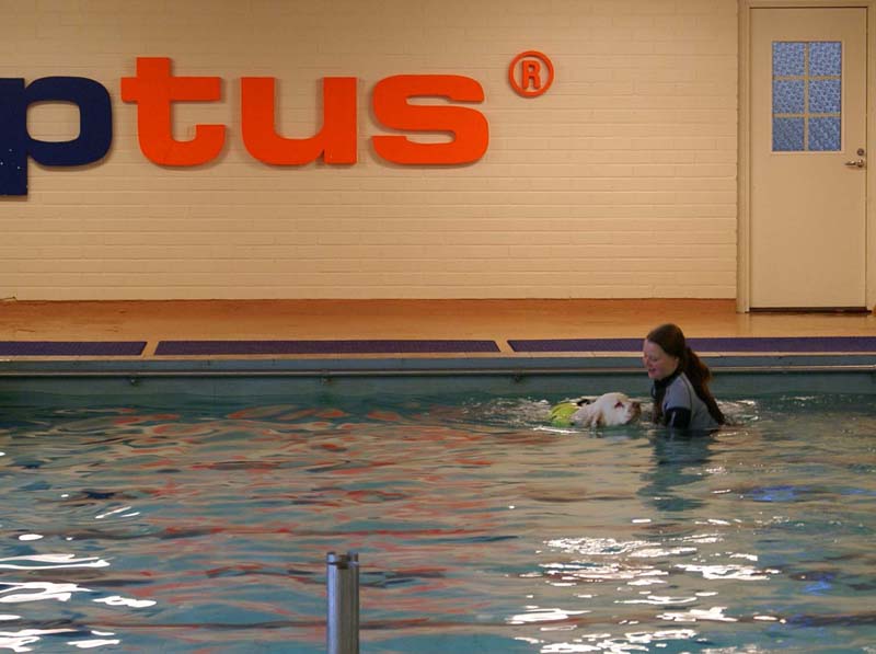 DogSpa_16_Oct_2009_Bono_b