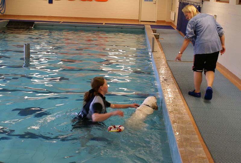 DogSpa_16_Oct_2009_Crisse