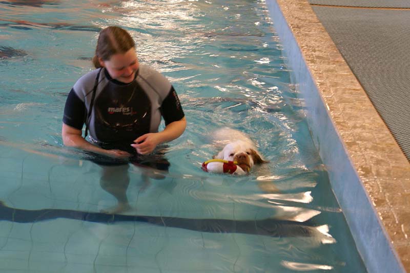 DogSpa_16_Oct_2009_Crisse_b