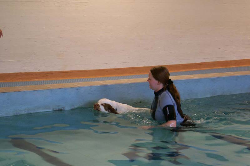 DogSpa_16_Oct_2009_Crisse_c