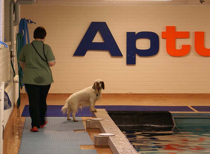 DogSpa_16_Oct_2009_Crisse_d