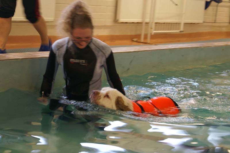 DogSpa_16_Oct_2009_Eddie_e