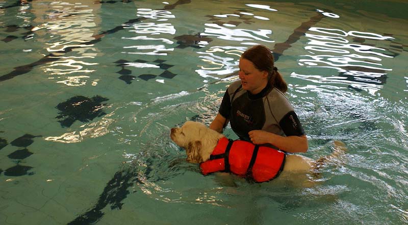 DogSpa_16_Oct_2009_Hilla_b