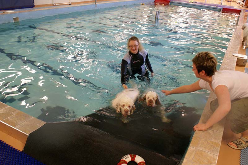 DogSpa_16_Oct_2009_Sisu_Bumbaa