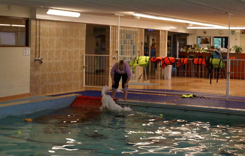 DogSpa_16_Oct_2009_Tage