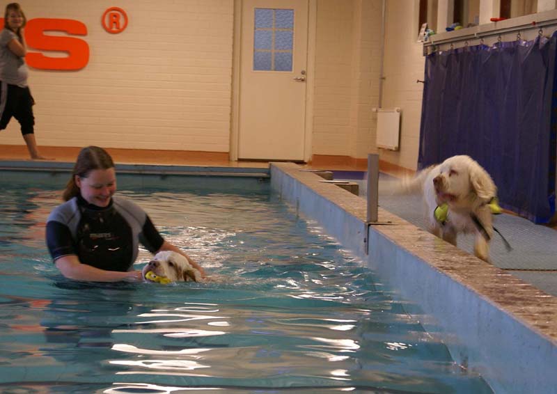 DogSpa_16_Oct_2009_Xavier_Bono